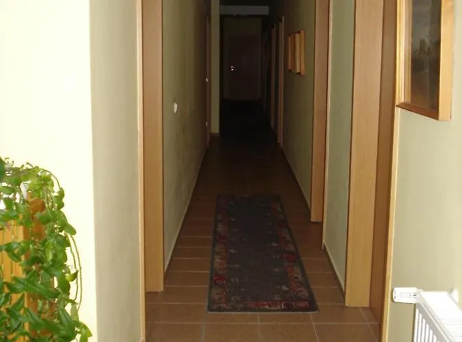 Hotell Denis Panzio Es Etterem 3*